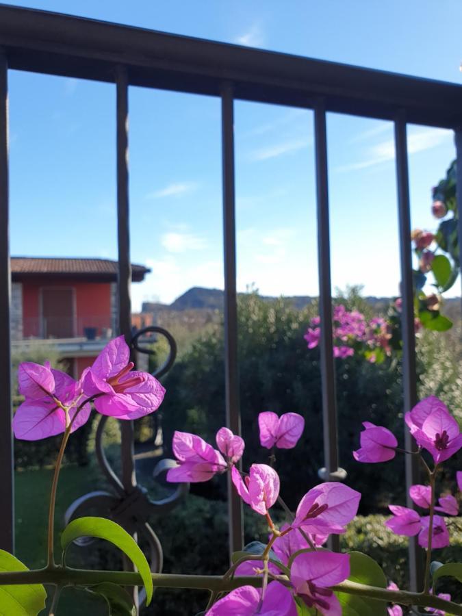 La Fenice Holiday Apartment Манерба-дель-Гарда Экстерьер фото